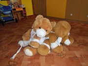 ČČK Mladá Boleslav - první pomoc